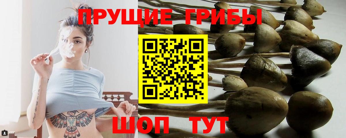 Галлюциногенные грибы Psilocybine cubensis  Вход с VPN  Галлюциногенные грибы Cubensis  Ишим 